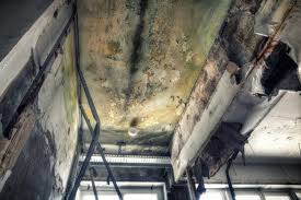 Mold Odor Removal Services in Manorville, NY